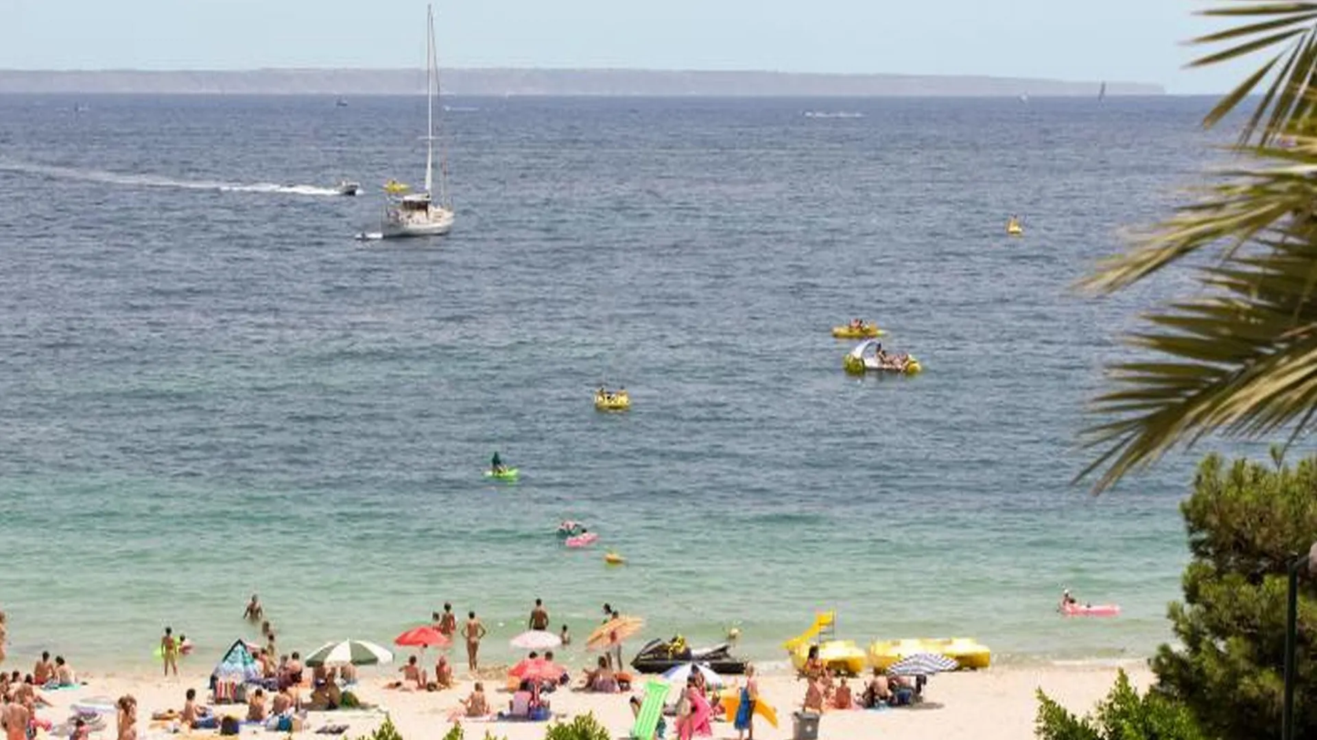 Hotel Palia Tropico Playa Palma Nova  Spain