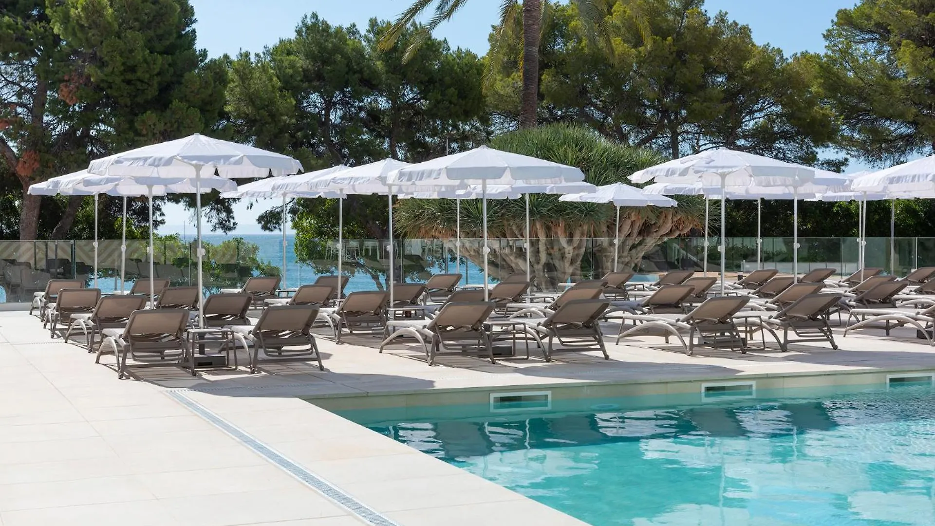 Hotel Palia Tropico Playa Palma Nova
