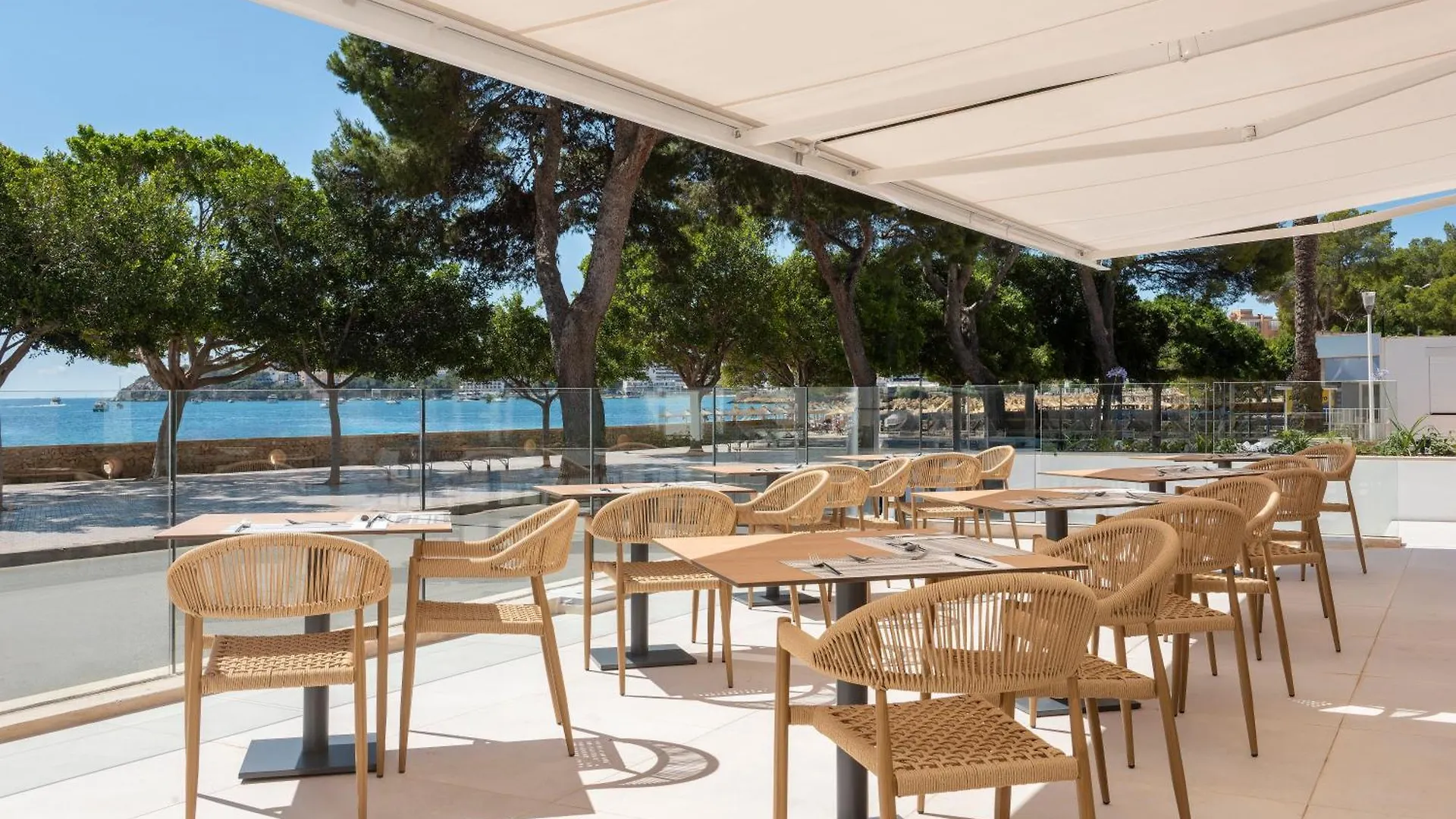 Hotel Palia Tropico Playa Palma Nova