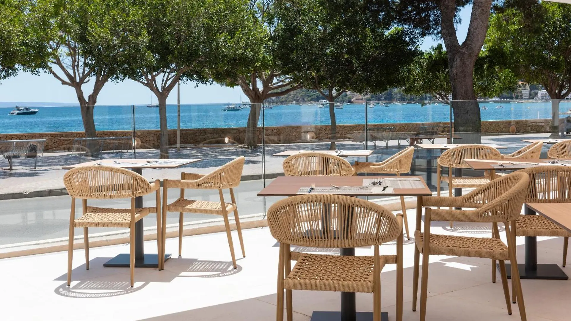 Hotel Palia Tropico Playa Palma Nova