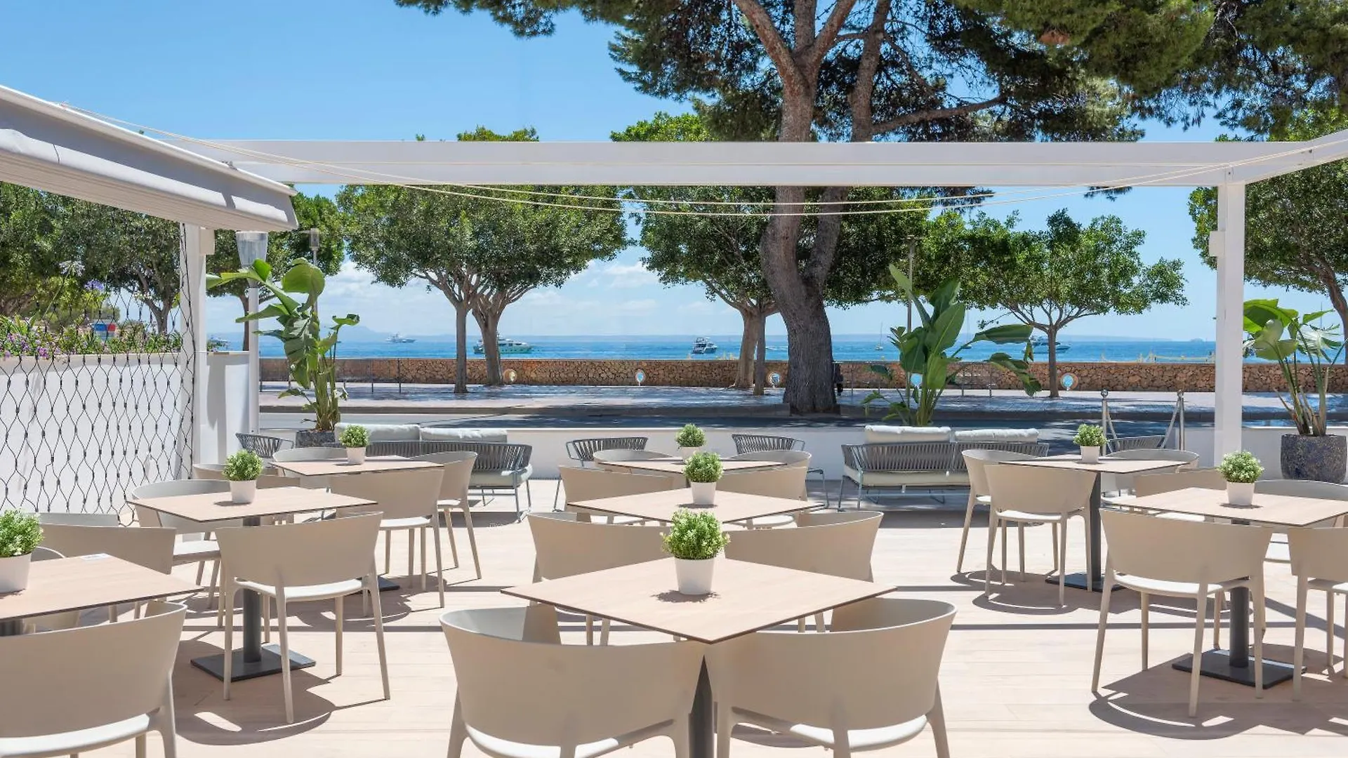Hotel Palia Tropico Playa Palma Nova