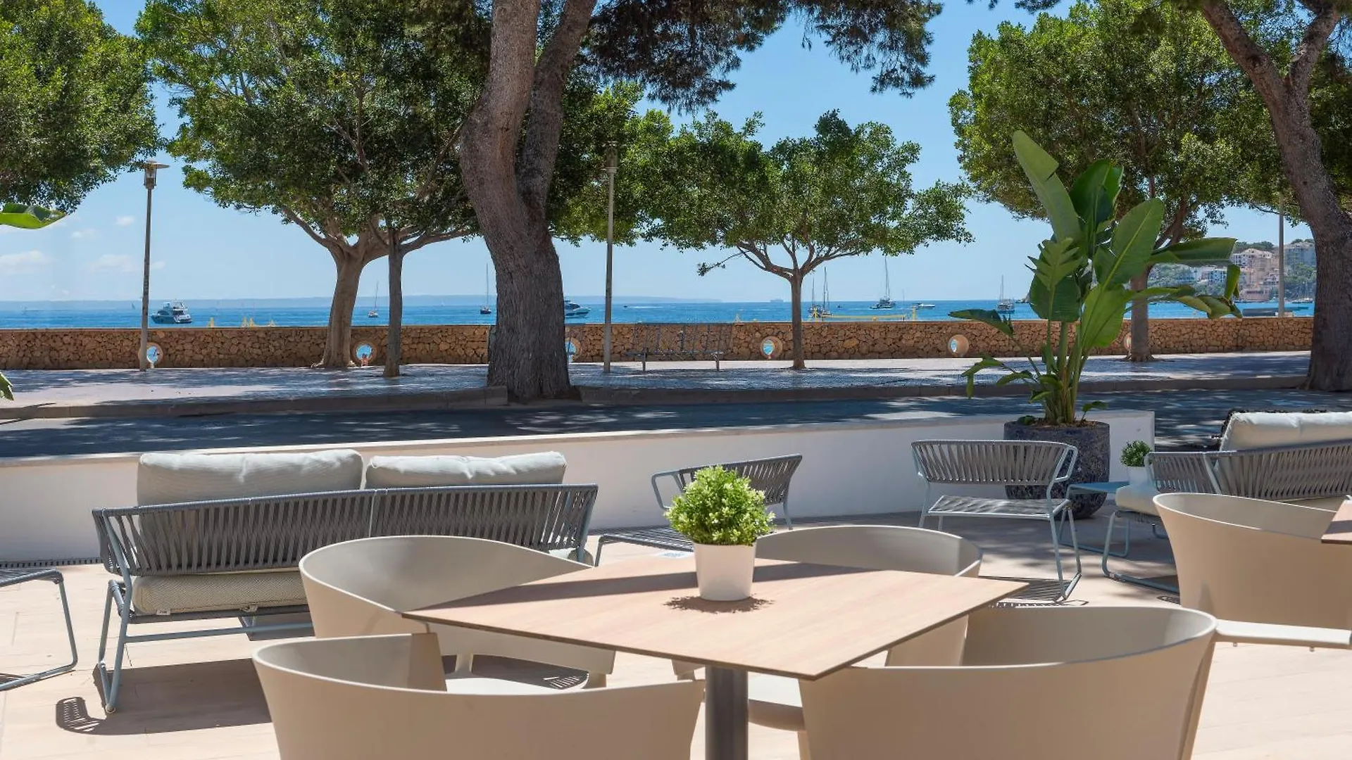 Hotel Palia Tropico Playa Palma Nova  Hiszpania