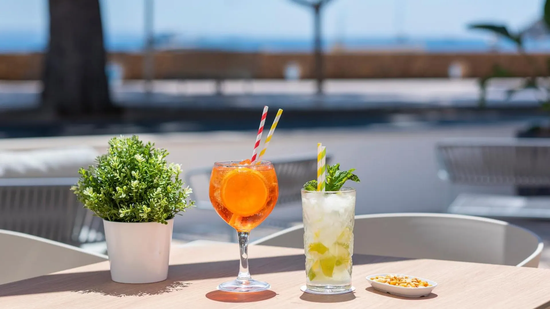 Hotel Palia Tropico Playa Palma Nova